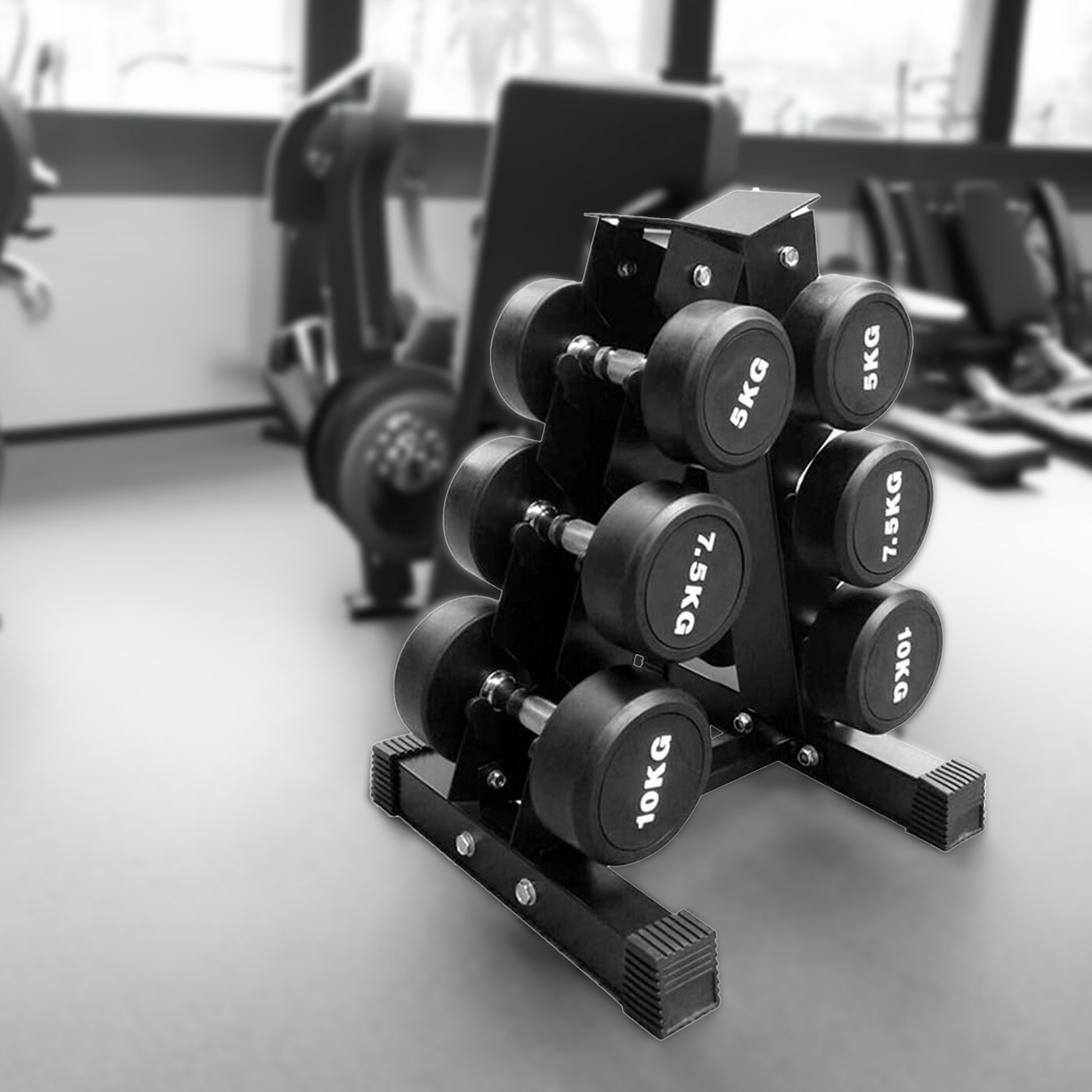 Rack Para Mancuernas Fitness Shang's | Tienda Deportivashangs.mx