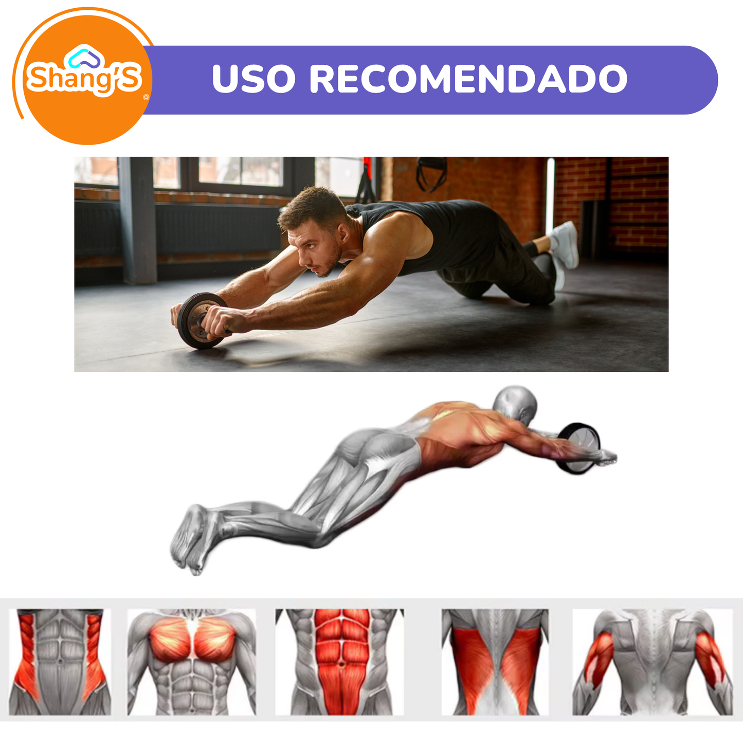 Rueda Abdominal Doble con Tapete Antideslizante Shang's