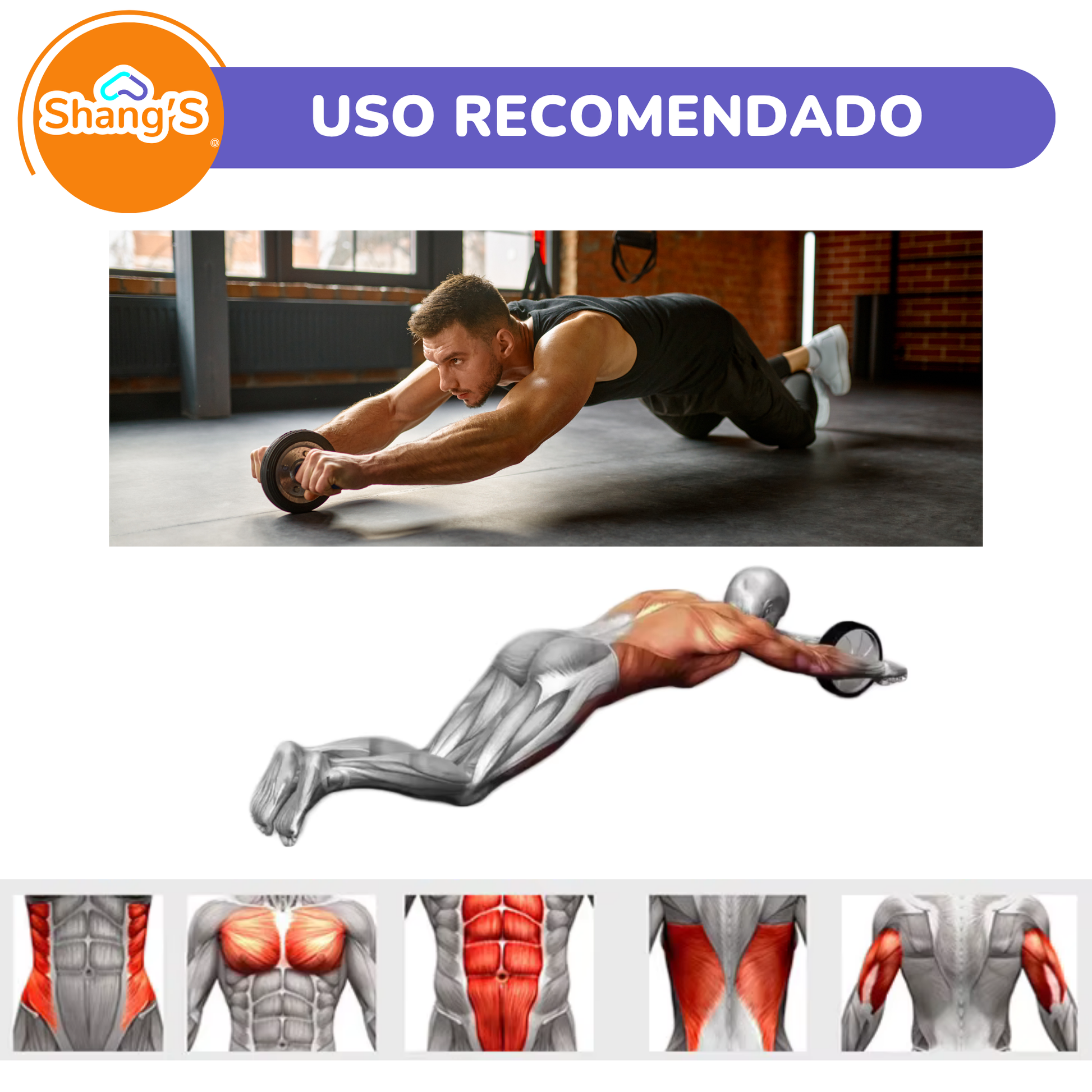 Rueda Abdominal Doble con Tapete Antideslizante Shang's